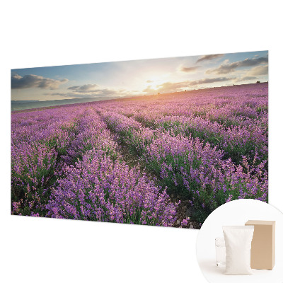 Fototapeta s potlačou na vliese Levanduľové polia