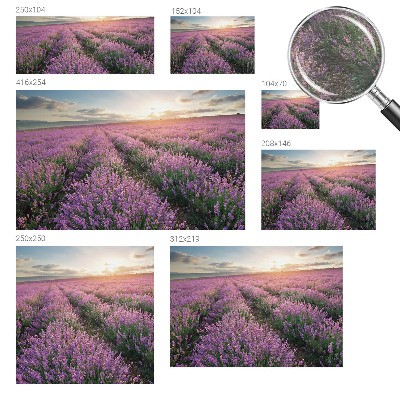 Fototapeta s potlačou na vliese Levanduľové polia