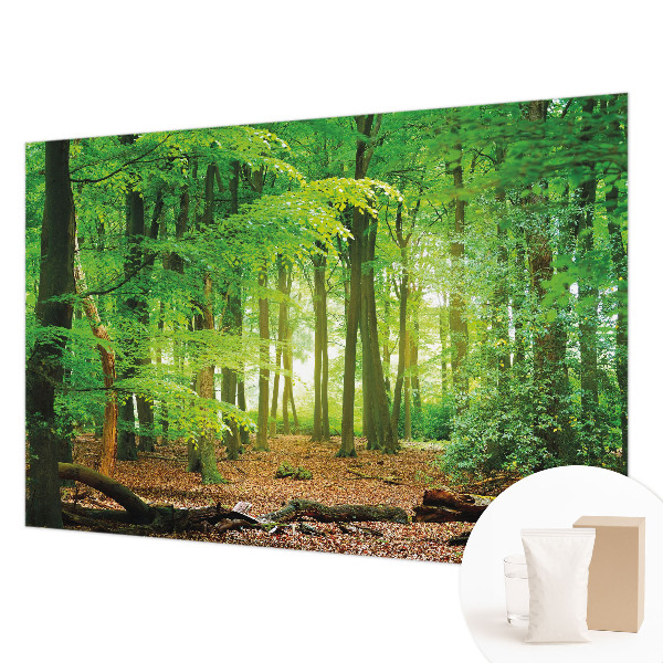 Dekoratívna fototapeta na stenu Zelený les