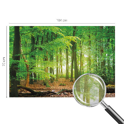 Dekoratívna fototapeta na stenu Zelený les