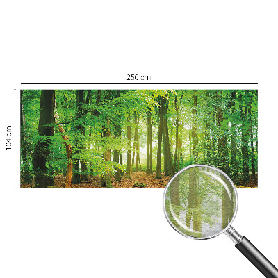 Dekoratívna fototapeta na stenu Zelený les