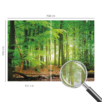 Dekoratívna fototapeta na stenu Zelený les