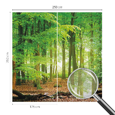 Dekoratívna fototapeta na stenu Zelený les