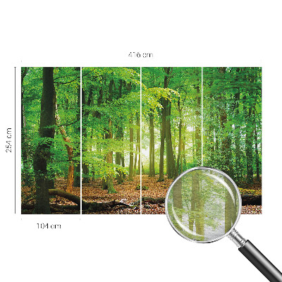 Dekoratívna fototapeta na stenu Zelený les