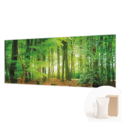 Dekoratívna fototapeta na stenu Zelený les
