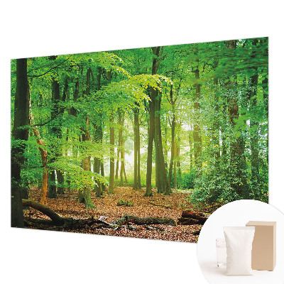 Dekoratívna fototapeta na stenu Zelený les