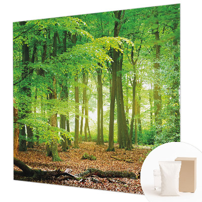 Dekoratívna fototapeta na stenu Zelený les