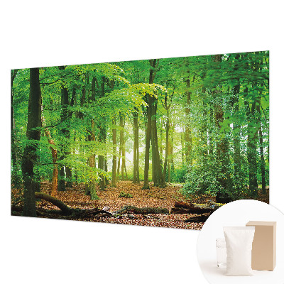 Dekoratívna fototapeta na stenu Zelený les