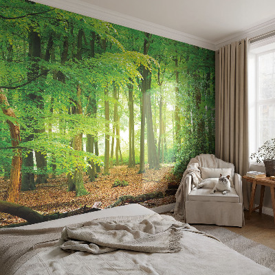 Dekoratívna fototapeta na stenu Zelený les