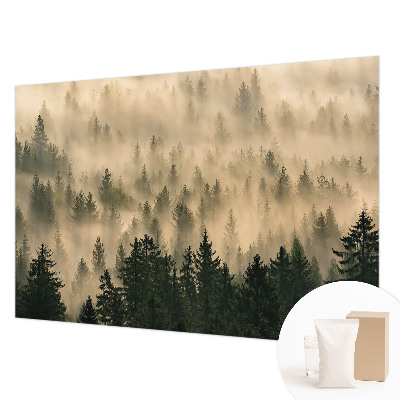 Tapeta na stenu Lesná hmla