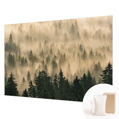 Tapeta na stenu Lesná hmla