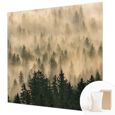 Tapeta na stenu Lesná hmla