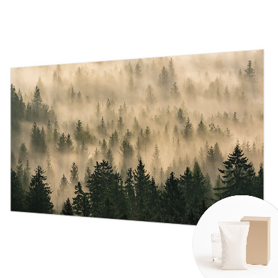 Tapeta na stenu Lesná hmla