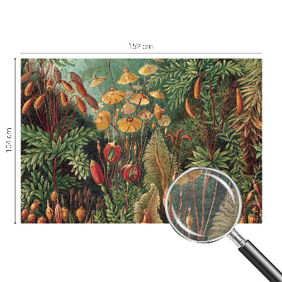 Vliesová fototapeta s potlačou Exotická záhrada