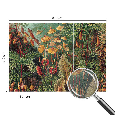 Vliesová fototapeta s potlačou Exotická záhrada