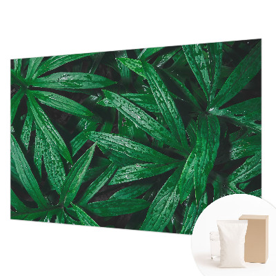 Vliesová tapeta na stenu Prírodná zeleň