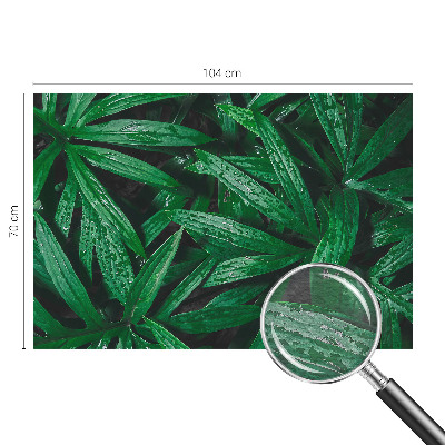 Vliesová tapeta na stenu Prírodná zeleň