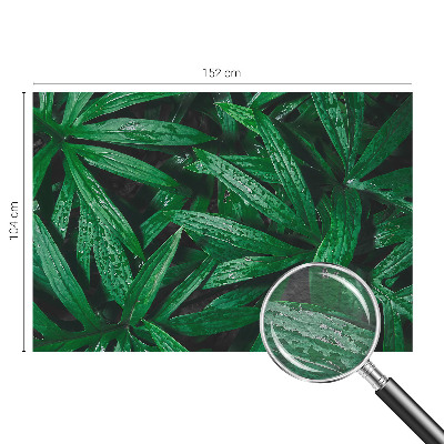 Vliesová tapeta na stenu Prírodná zeleň