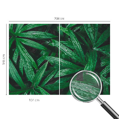 Vliesová tapeta na stenu Prírodná zeleň