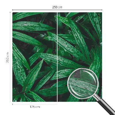 Vliesová tapeta na stenu Prírodná zeleň