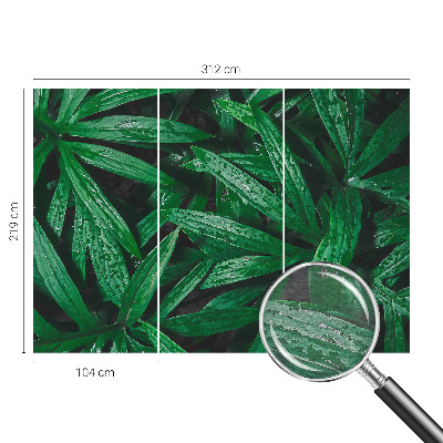 Vliesová tapeta na stenu Prírodná zeleň