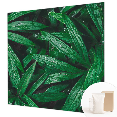 Vliesová tapeta na stenu Prírodná zeleň