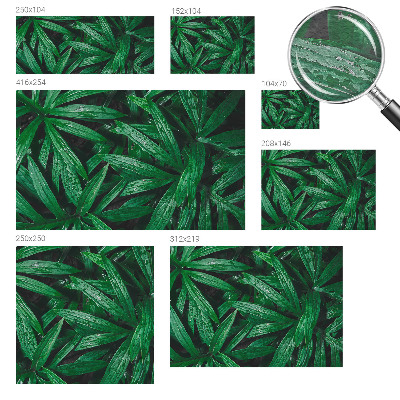 Vliesová tapeta na stenu Prírodná zeleň