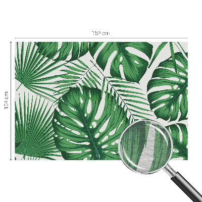 Moderná fototapeta Tropické listy