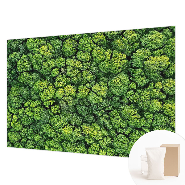 Luxusná tapeta Lesná panoráma