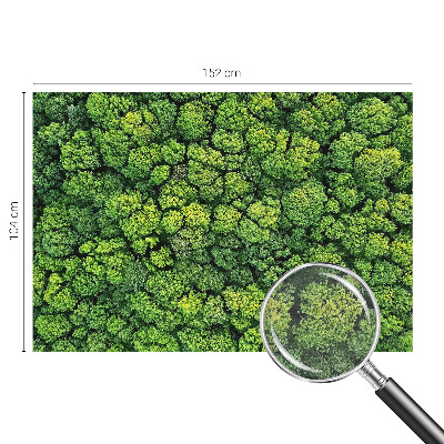 Luxusná tapeta Lesná panoráma