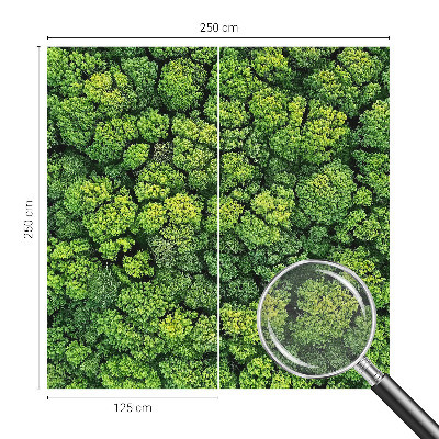 Luxusná tapeta Lesná panoráma