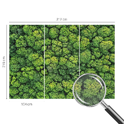 Luxusná tapeta Lesná panoráma