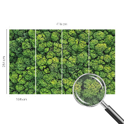 Luxusná tapeta Lesná panoráma