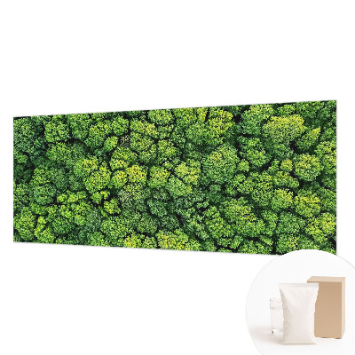 Luxusná tapeta Lesná panoráma