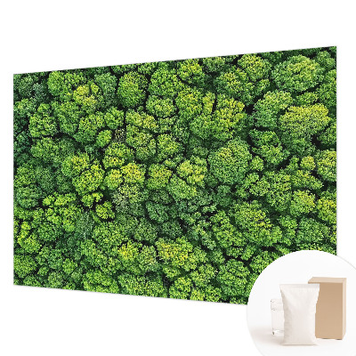 Luxusná tapeta Lesná panoráma