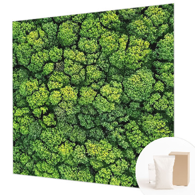 Luxusná tapeta Lesná panoráma