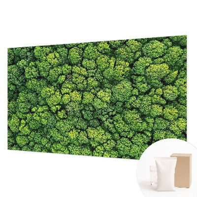 Luxusná tapeta Lesná panoráma