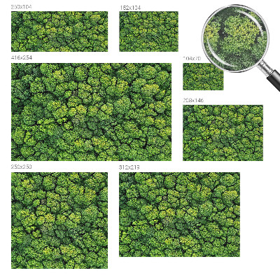 Luxusná tapeta Lesná panoráma