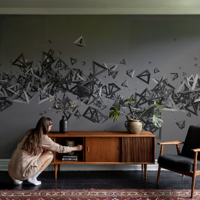 Fototapeta na stenu Geometrické abstrakcie