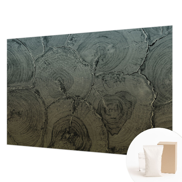 Vliesová fototapeta pre deti Drevené krúžky