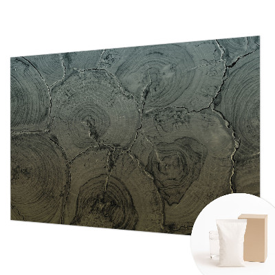 Vliesová fototapeta pre deti Drevené krúžky