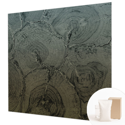 Vliesová fototapeta pre deti Drevené krúžky