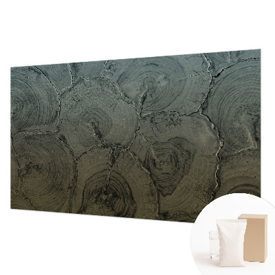 Vliesová fototapeta pre deti Drevené krúžky