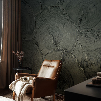 Vliesová fototapeta pre deti Drevené krúžky