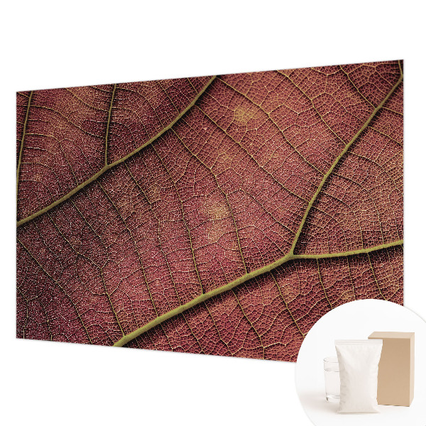 Fototapeta do spálne Listová textúra