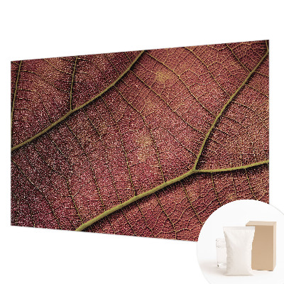 Fototapeta do spálne Listová textúra