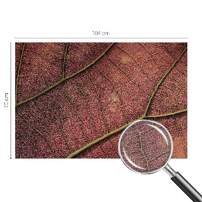 Fototapeta do spálne Listová textúra