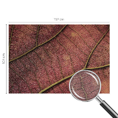 Fototapeta do spálne Listová textúra