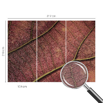 Fototapeta do spálne Listová textúra