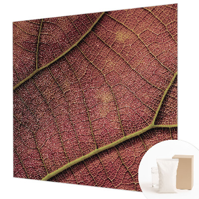 Fototapeta do spálne Listová textúra